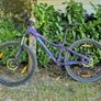Giant Bicycles Image 5