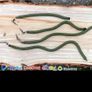 Sets of 4 wriggle weights for salmon and trout fishing Image 2