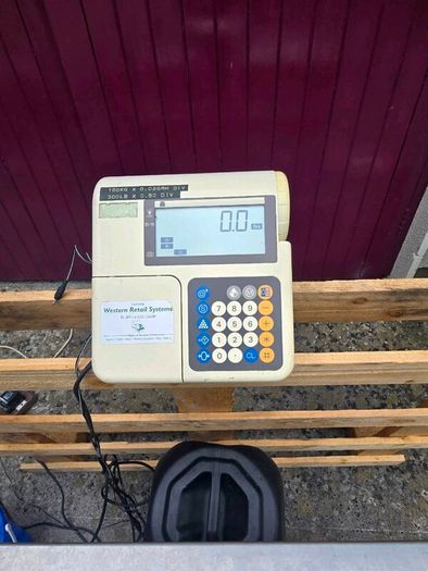Platform Scales