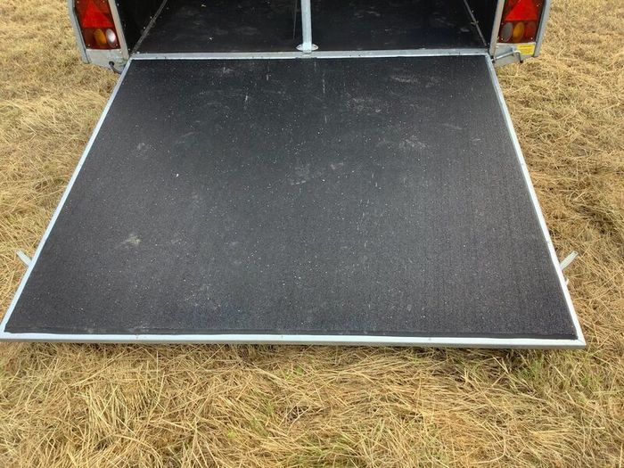Bockmann champion esprit horse box