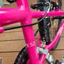 Frog bike Image 5
