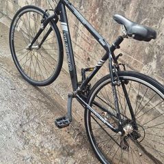 adult road bike