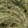 June Irish Hay&Haylage Image 4