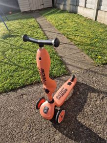 scoot and ride 2 in 1 scooter
