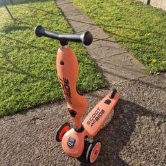 scoot and ride 2 in 1 scooter