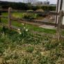 Farm equipment Image 4