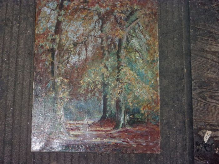 oil painting on canvas of a forest by daly