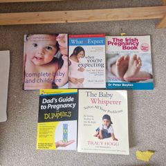 pregnancy and baby books