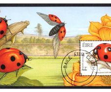 2003 Ireland Fauna & Flora (Beetles) Miniature Sheet Fine Used with clear Dublin cancel