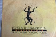 Echo and the Bunnymen bring on the dancing horses