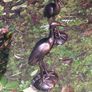 Stunning Pair Of Bronzed Metal Water Cranes Image 3