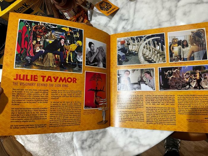 The Lion King Merchandise Bundle