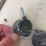Castors Image 3