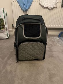 dog/car backpack