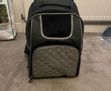 dog/car backpack