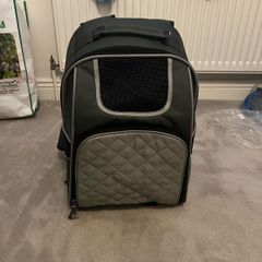 dog/car backpack
