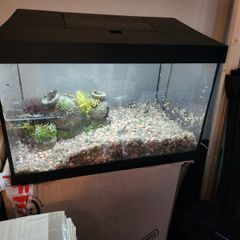 Fish Tank