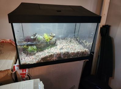 Fish Tank