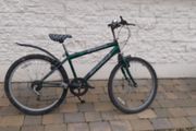 Bike (24"wheels)