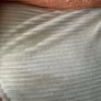 3 plush soft bluey chairs Image 6