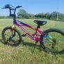 20 inch Verve BMX metallic rainbow bikr Image 2