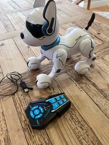 Ziggy the Robo Dog