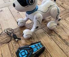 Ziggy the Robo Dog