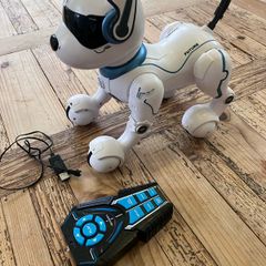 Ziggy the Robo Dog