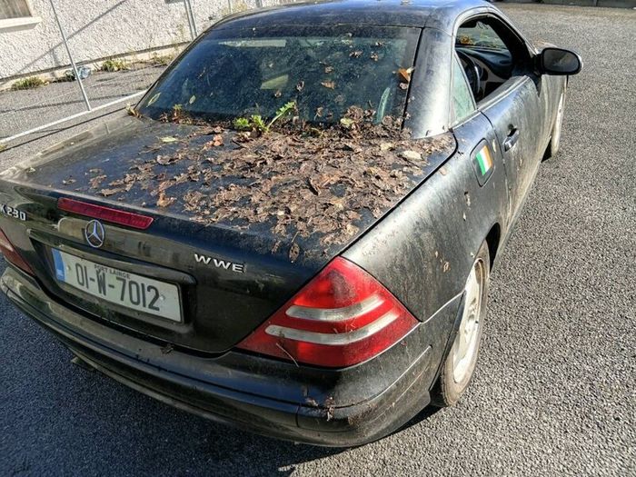Mercedes-Benz vintage fell offended tomorrow