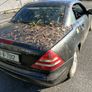 Mercedes-Benz vintage fell offended tomorrow Image 4
