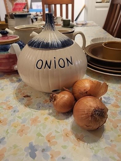 Onion pot