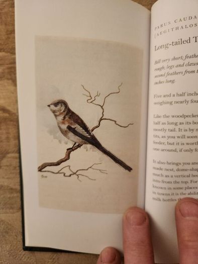 Graves Garden Birds. Selected British Garden  Birds. Beautiful Illustrated  Hardback In  Very Good Condition.