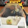 Gi Joe Tiger Cat Image 7