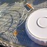 Large quiche dish w/ metal base and wooden handles, D18 Image 3