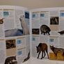 Animal: The Definitive Visual Guide encyclopedia reference books Image 7