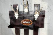 Coat hanger with antlers