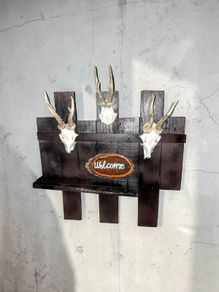 Coat hanger with antlers