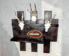 Coat hanger with antlers