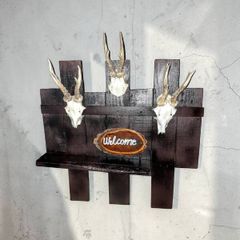 Coat hanger with antlers