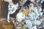 Kate Bush  Never For Ever Irish pressing