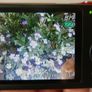 Casio QV-R300 Red 16.1MP digital compact camera FULL WORKING Image 8