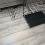 dog cage Image 2