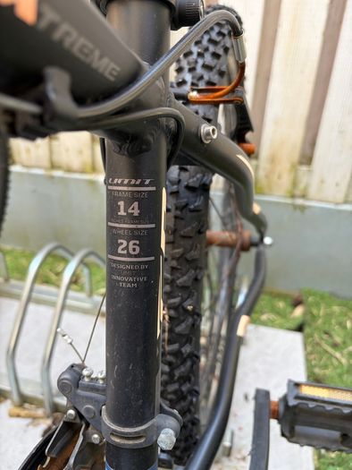 Kid/teen bike