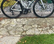 Giant TCR 1