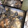 Imperial Assault Image 5