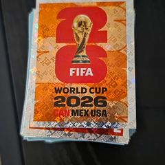 Panini World Cup Stickers