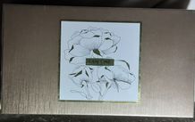 lancome ladies fragrance, a valentines day gift