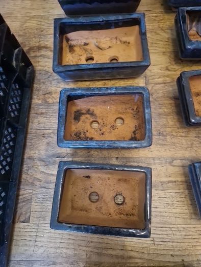 Bonsai pots