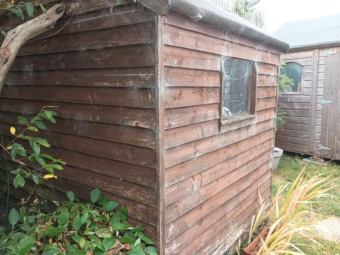 timber Shed