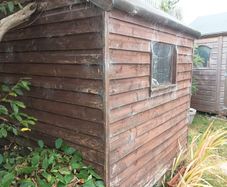 timber Shed